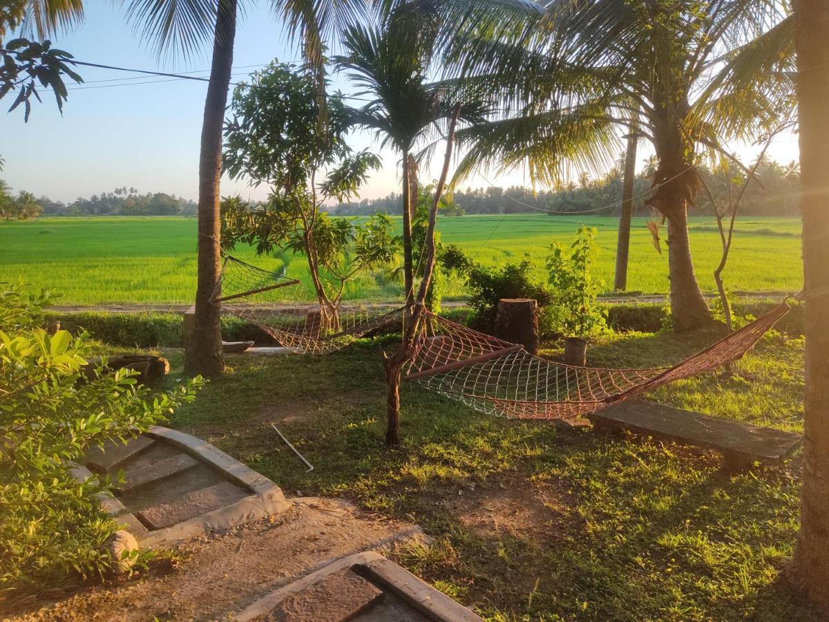 Village Mango Resort Yala 蒂瑟默哈拉默 外观 照片