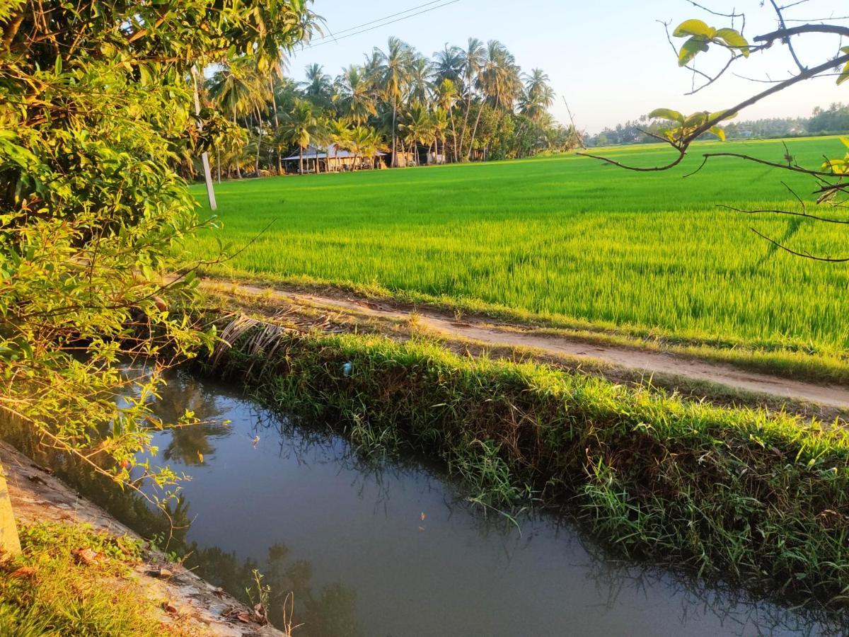 Village Mango Resort Yala 蒂瑟默哈拉默 外观 照片