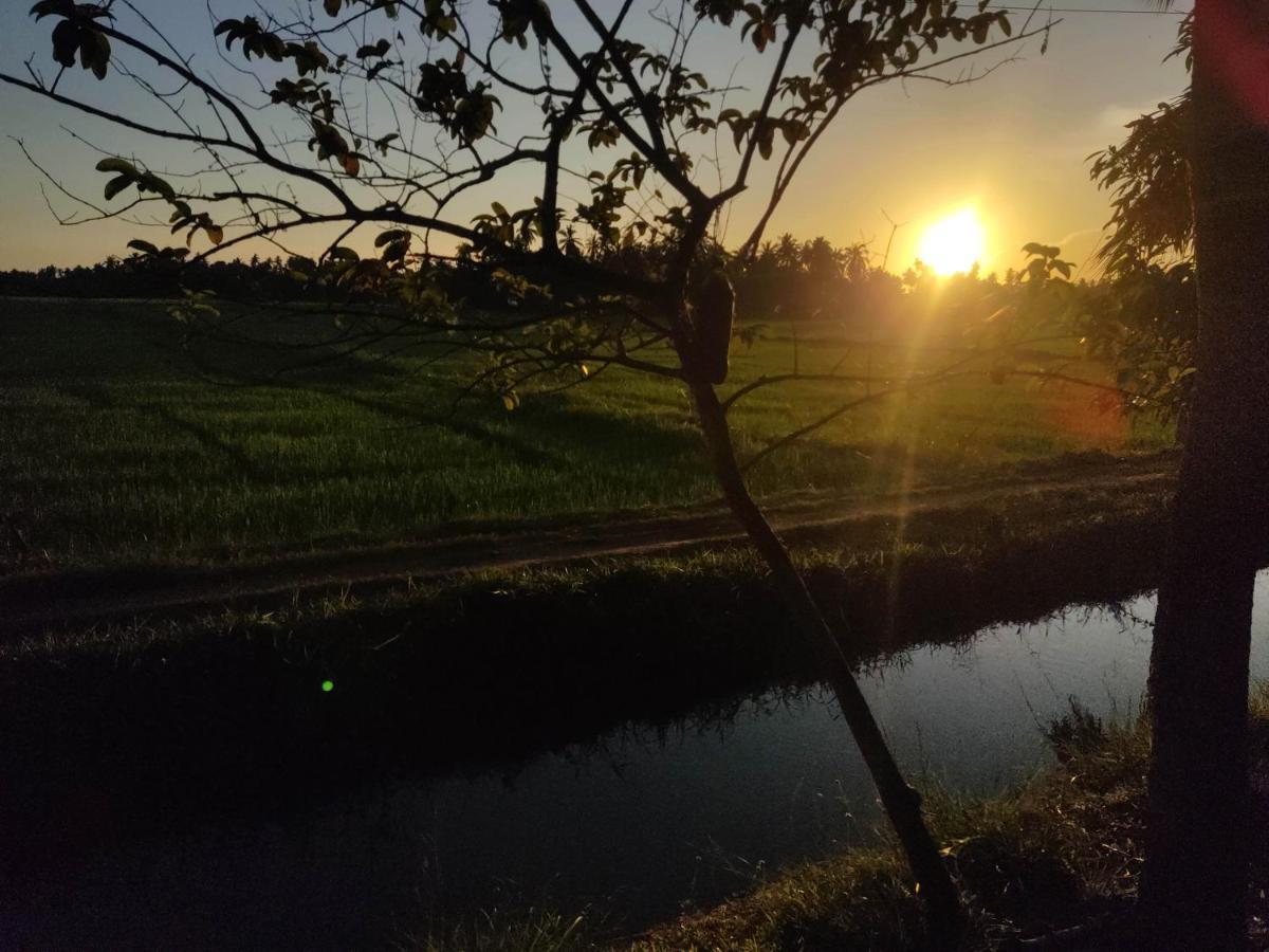 Village Mango Resort Yala 蒂瑟默哈拉默 外观 照片