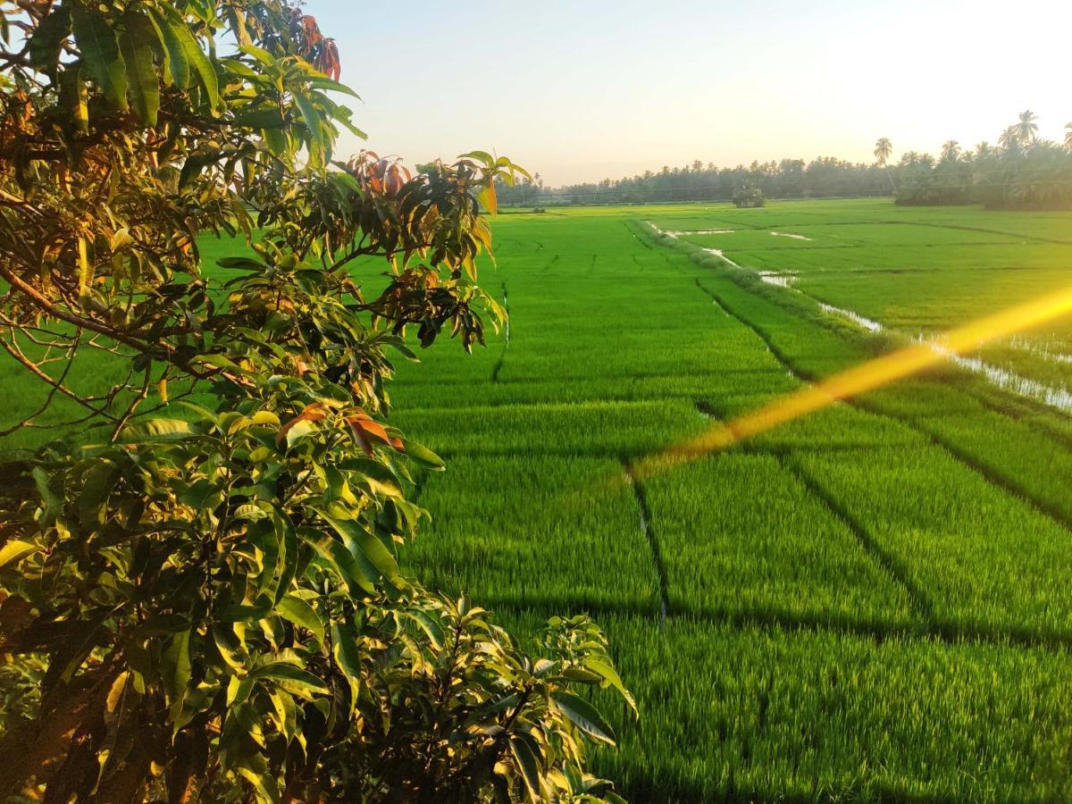 Village Mango Resort Yala 蒂瑟默哈拉默 外观 照片