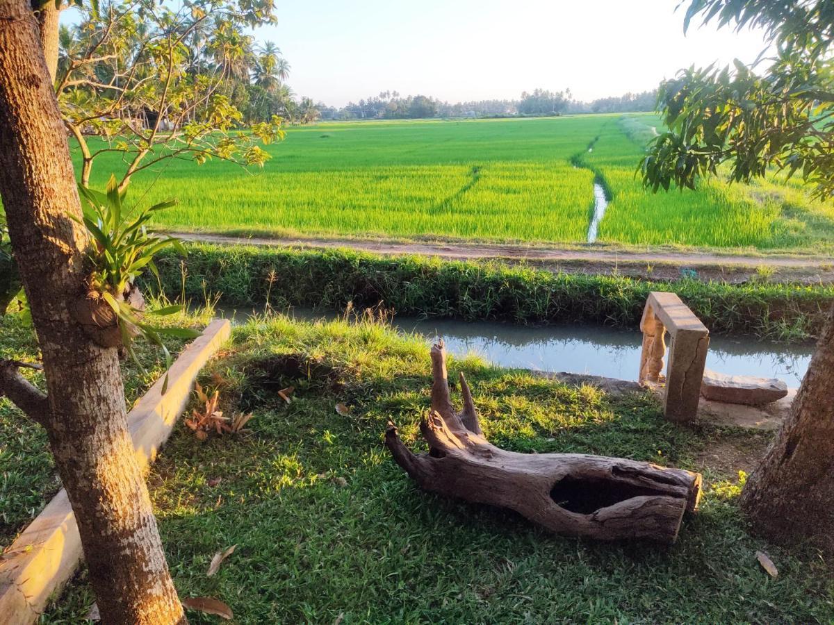 Village Mango Resort Yala 蒂瑟默哈拉默 外观 照片