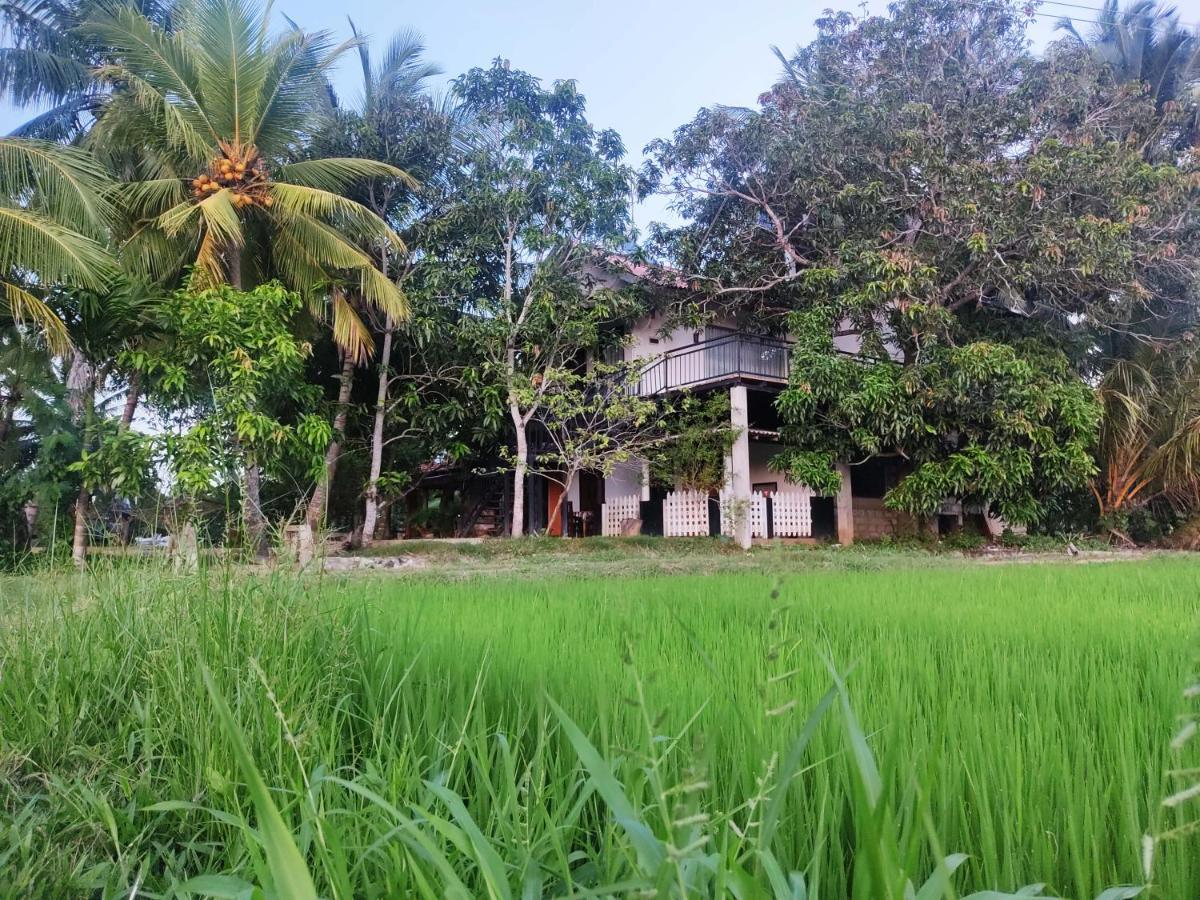 Village Mango Resort Yala 蒂瑟默哈拉默 外观 照片