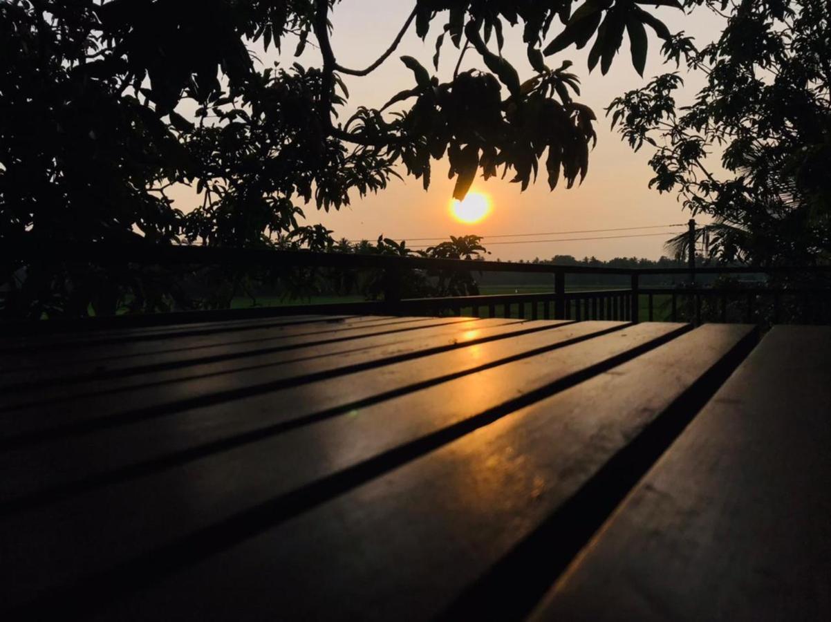 Village Mango Resort Yala 蒂瑟默哈拉默 外观 照片