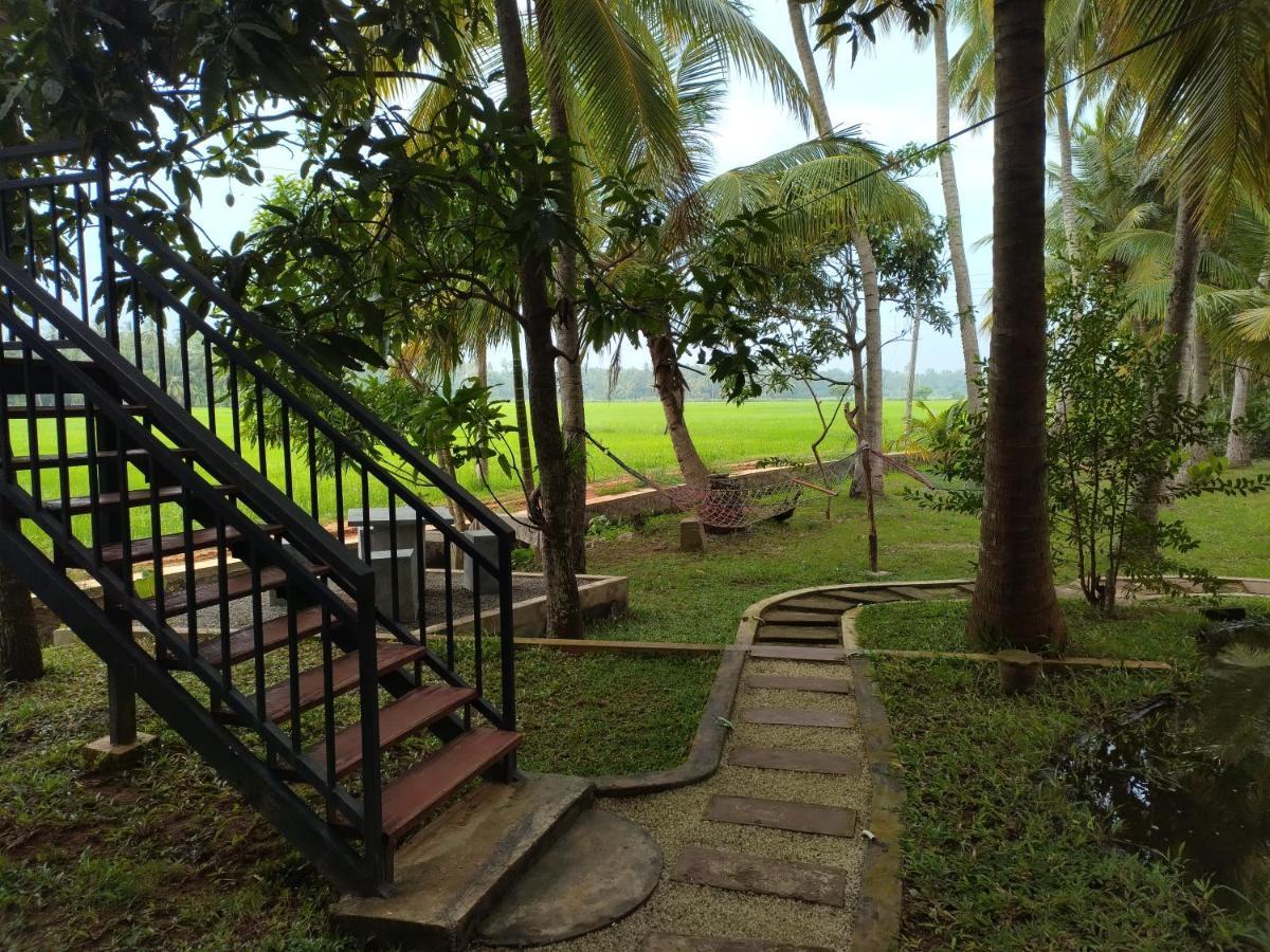 Village Mango Resort Yala 蒂瑟默哈拉默 外观 照片