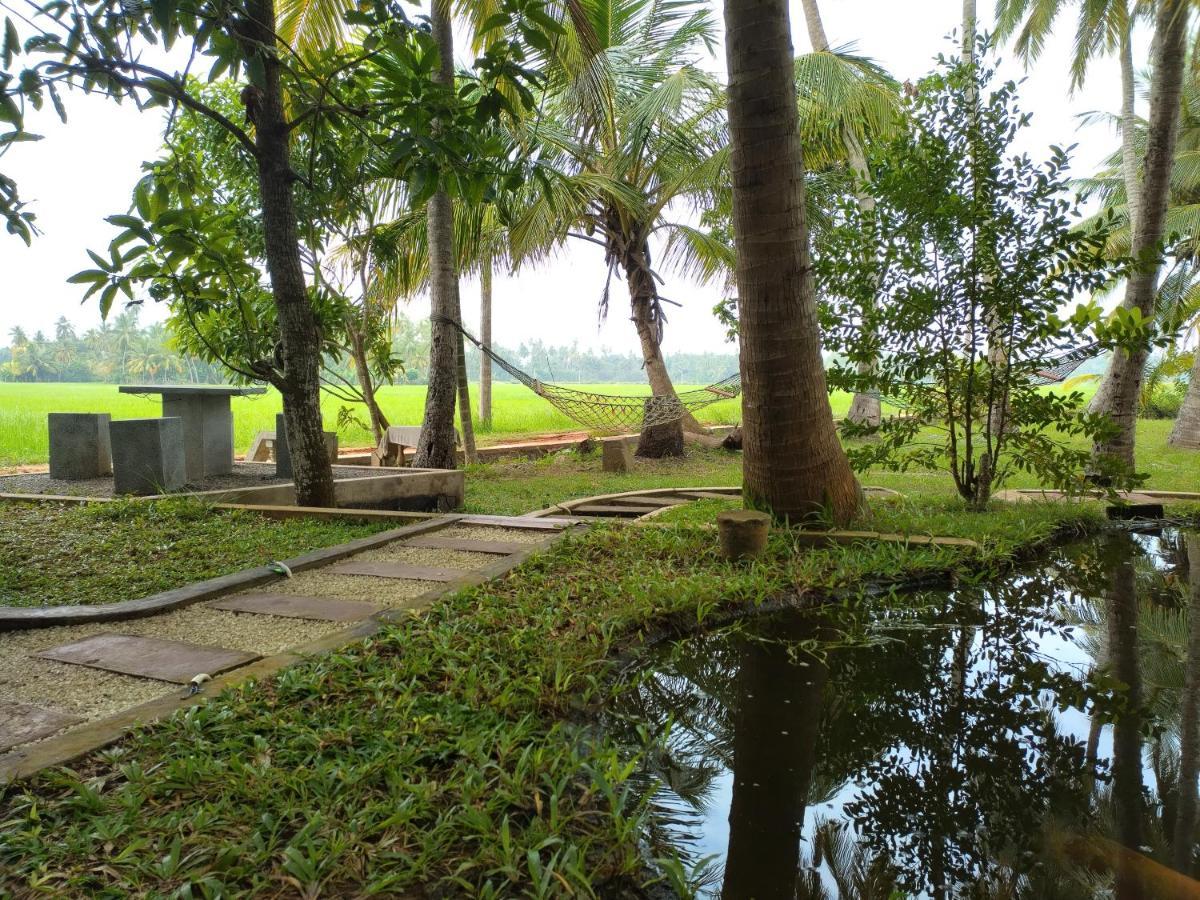 Village Mango Resort Yala 蒂瑟默哈拉默 外观 照片