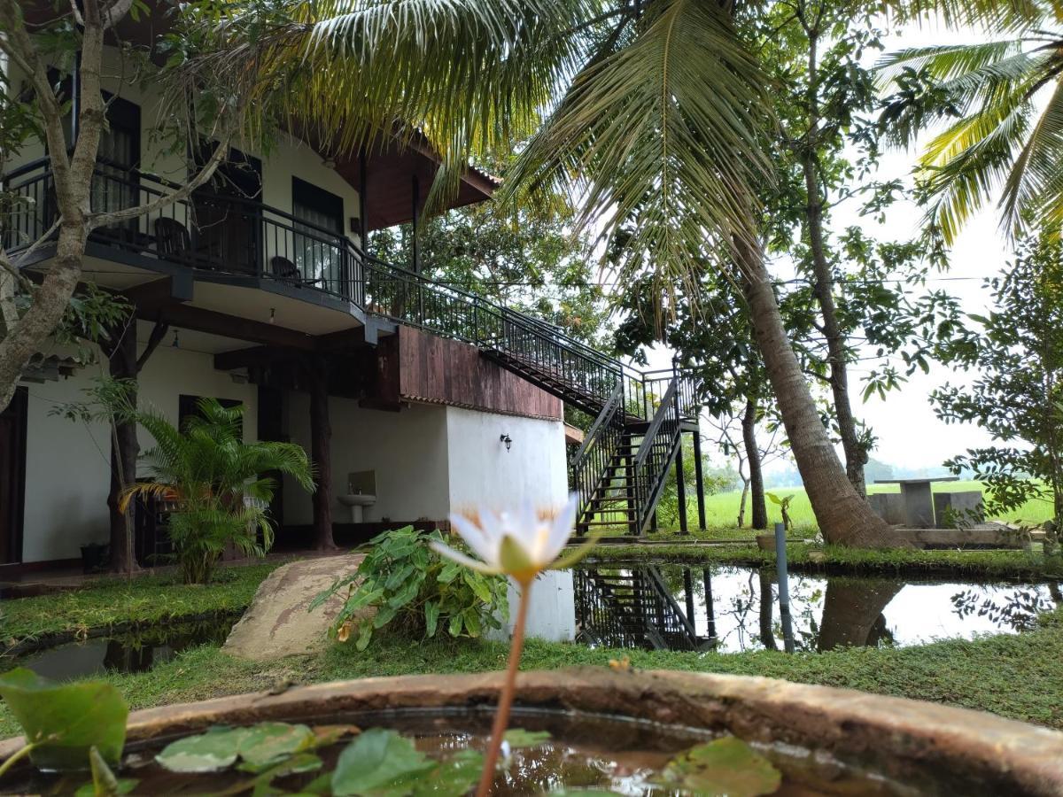 Village Mango Resort Yala 蒂瑟默哈拉默 外观 照片