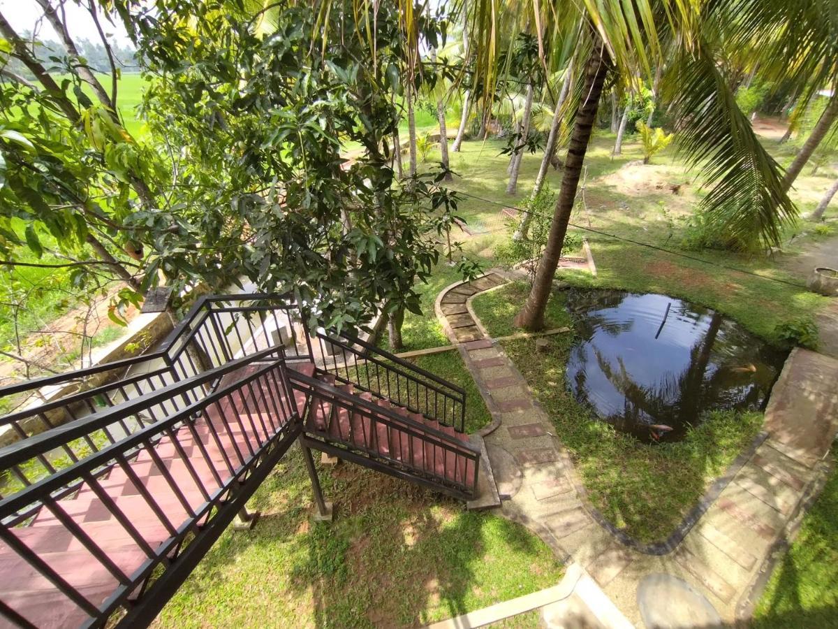 Village Mango Resort Yala 蒂瑟默哈拉默 外观 照片