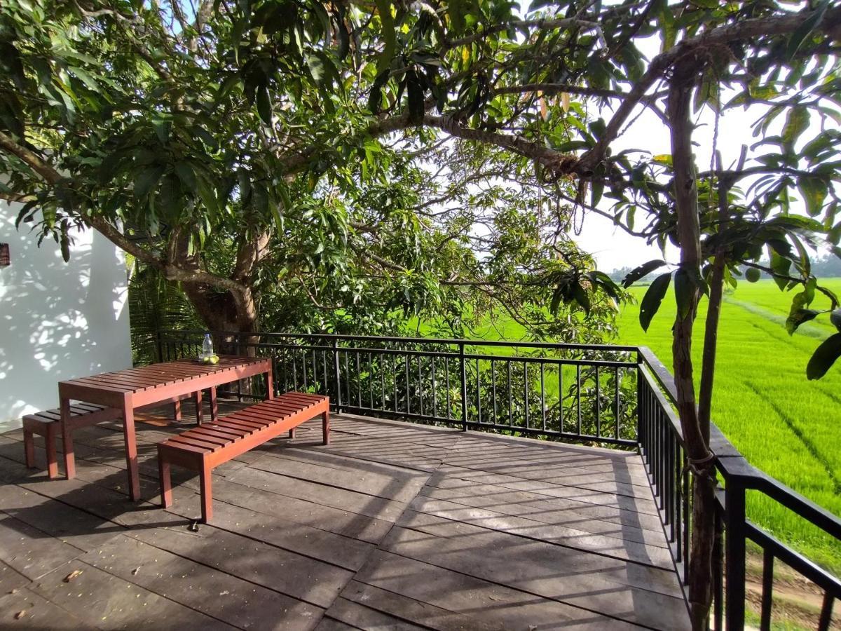 Village Mango Resort Yala 蒂瑟默哈拉默 外观 照片