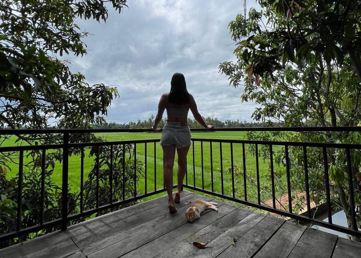 Village Mango Resort Yala 蒂瑟默哈拉默 外观 照片