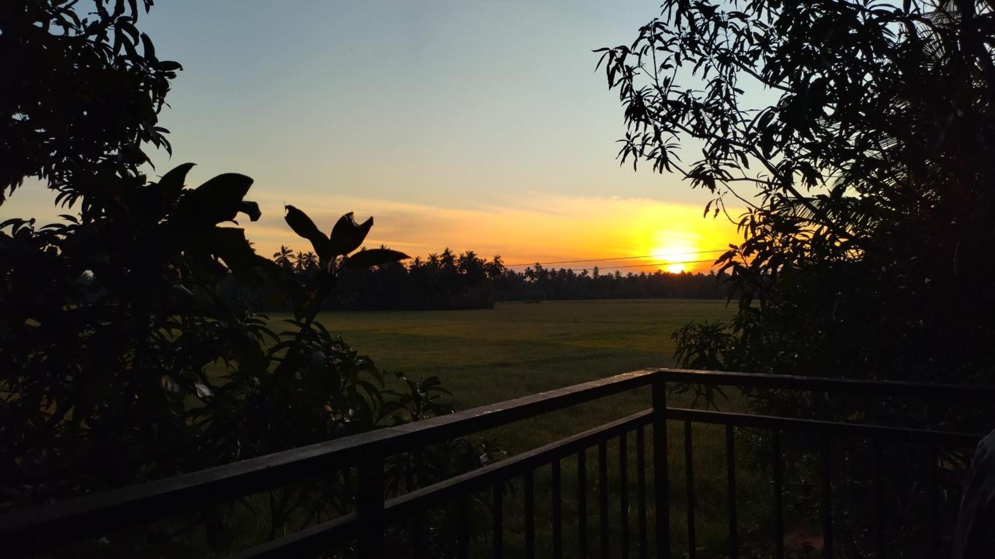Village Mango Resort Yala 蒂瑟默哈拉默 外观 照片